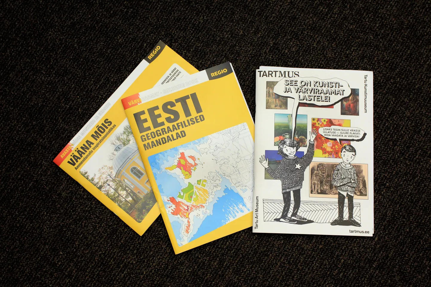 Regio üllitatud «Eesti geograafilised mandalad» ja «Vääna mõis. Ammendamatu inspiratsiooniallikas» ning Tartu kunstimuuseumi «See on kunsti- ja värviraamat lastele!».
