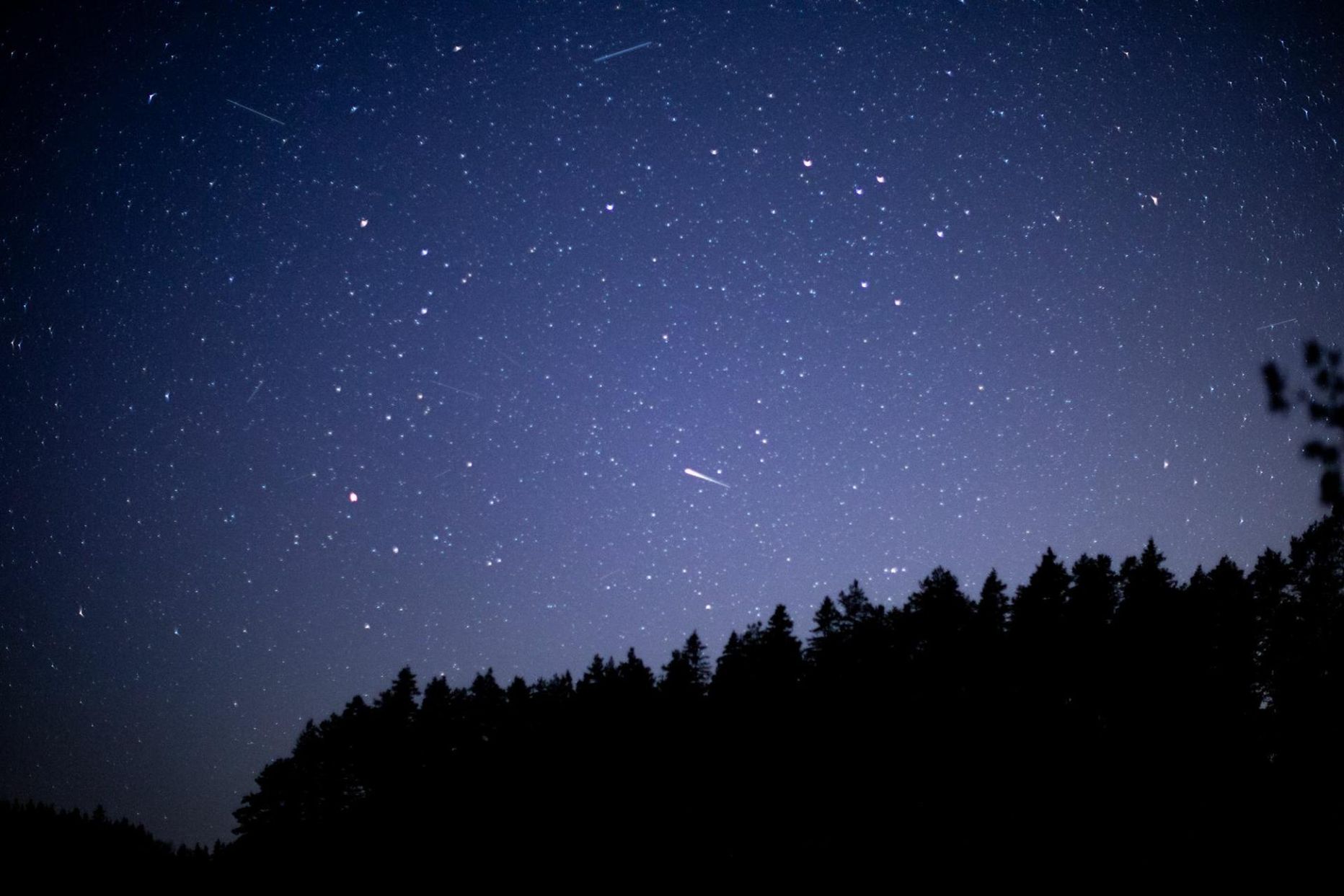 Augustikuises öötaevas on tähesadu tavaline, aga kui inimesed seal midagi ebatavalist märkavad, pöörduvad nad küsimustega astronoomide poole. Pilt on tehtud Harjumaal.