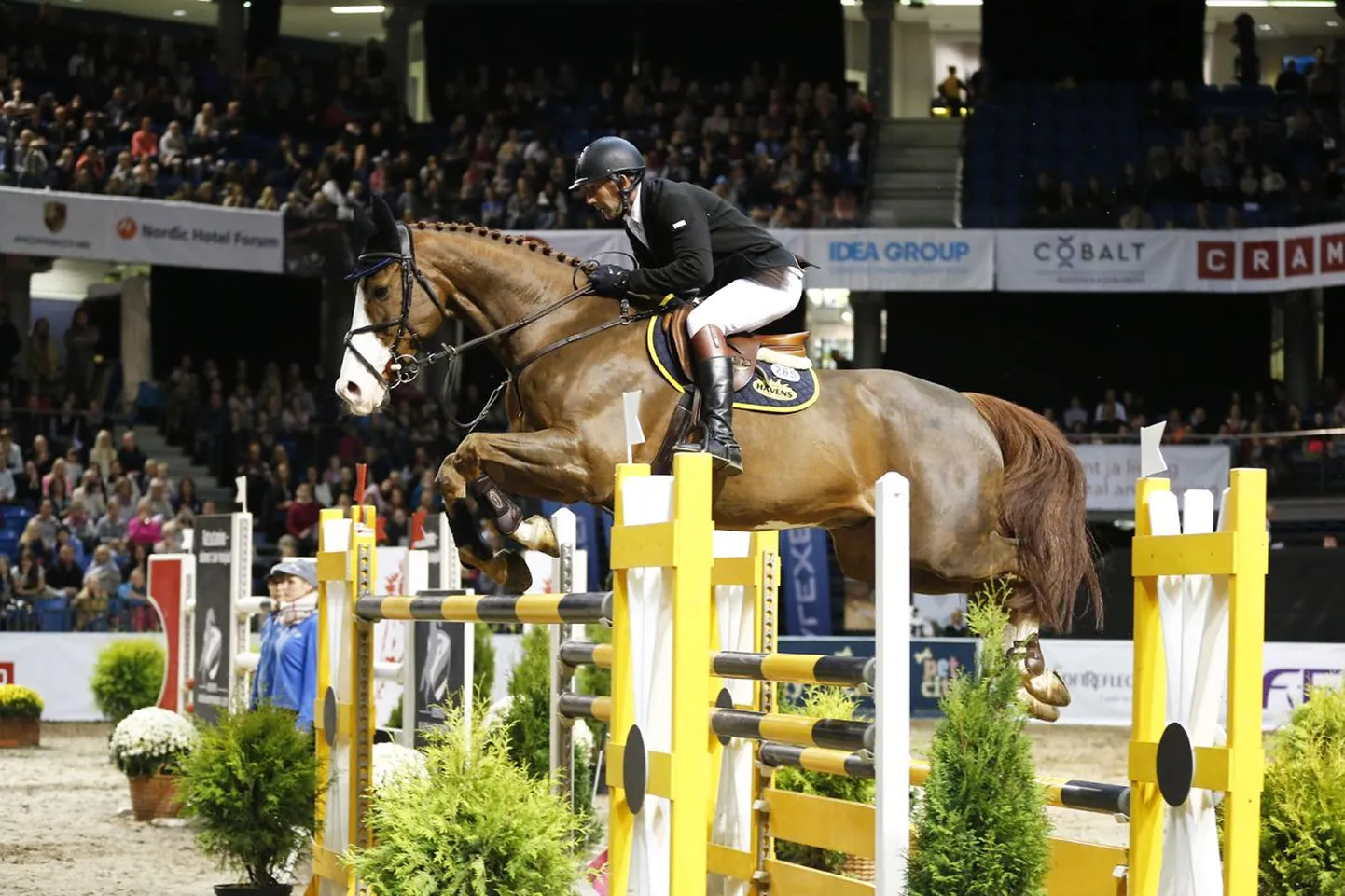 Rein Pill ja A Brok Tallinna Horse Showl.
