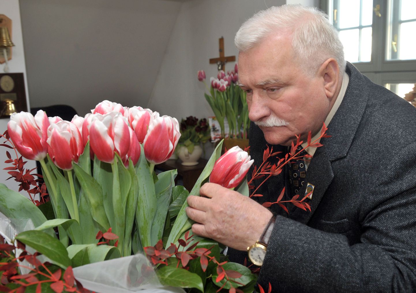 Лех Валенса знакомится с тюльпанами, названными в его честь голландскими цветоводами. Этот сорт окрашен в цвета польского флага.