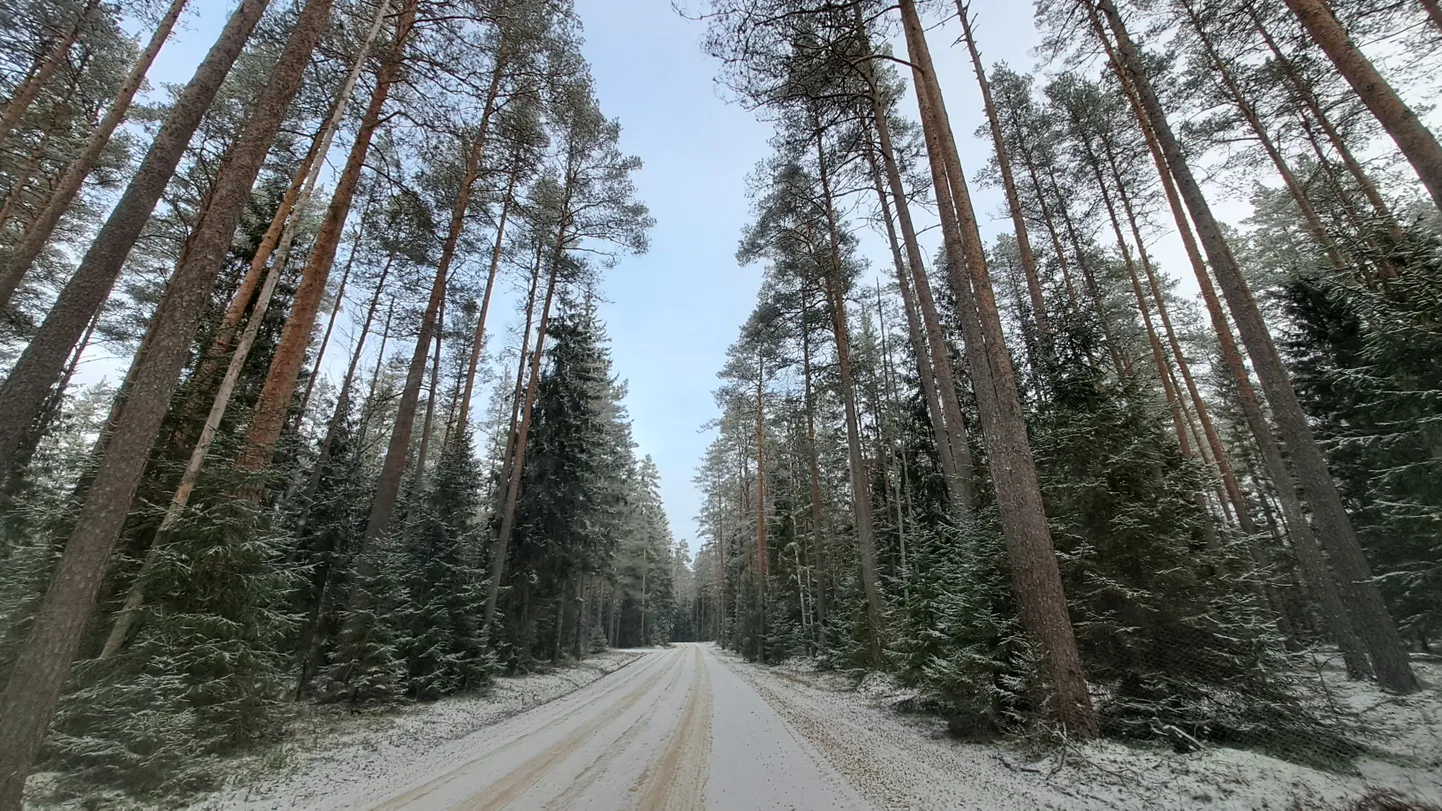 Teed muutuvad libedaks.