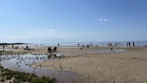 ФОТО И ВИДЕО ⟩ Летняя радость: в жаркую погоду на эстонском пляже можно насладиться мороженым всего за евро