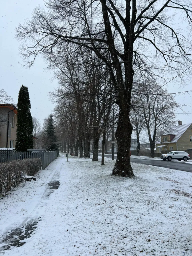 Погода в Вильянди в среду утром.