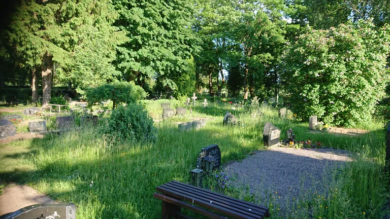 SURNUAEDADE OLUKORD on enneolematult halb, kommenteeris need fotod 17. juunil Tornimäe surnuaial teinud saarlane.