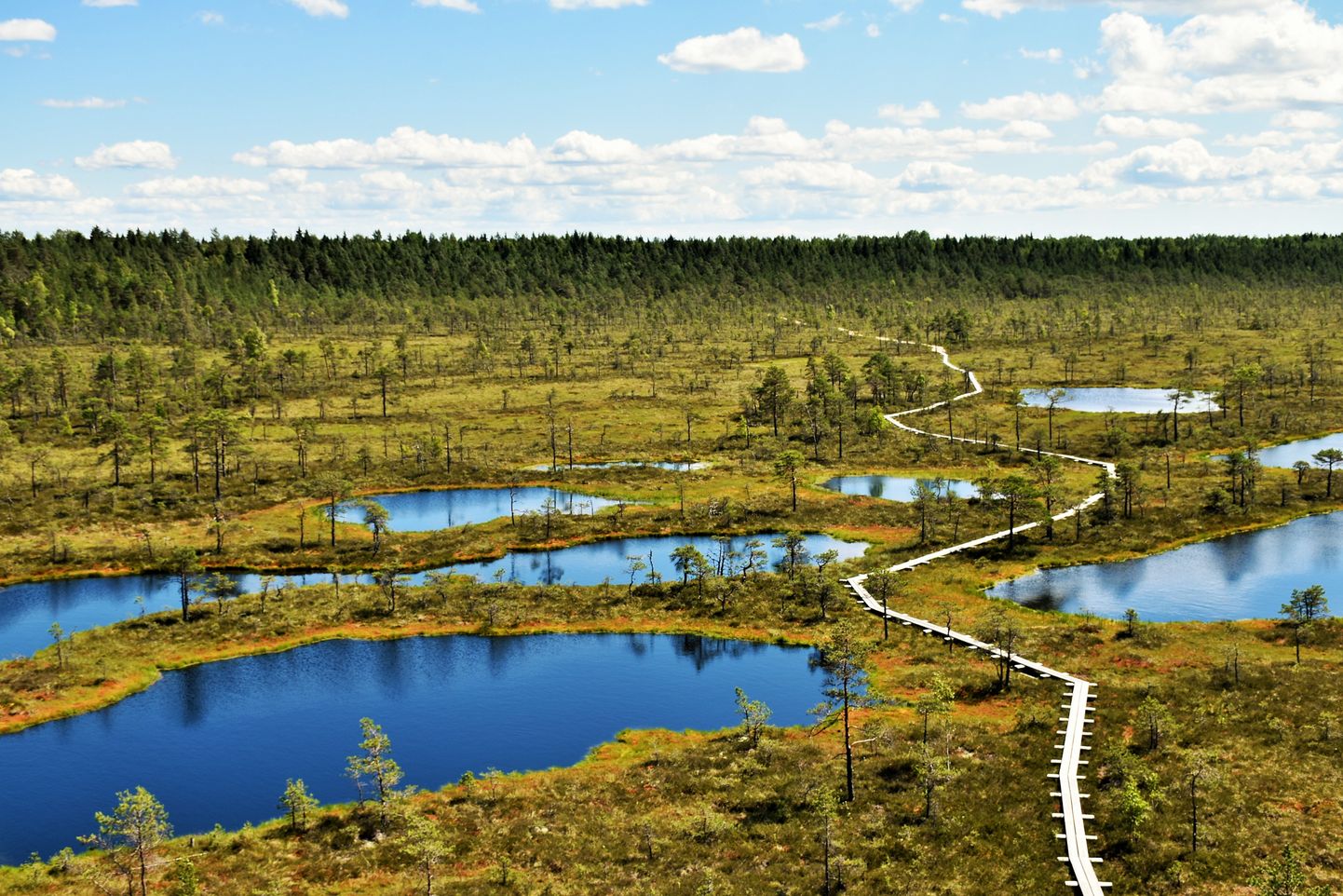 Болотные озера в Эстонии