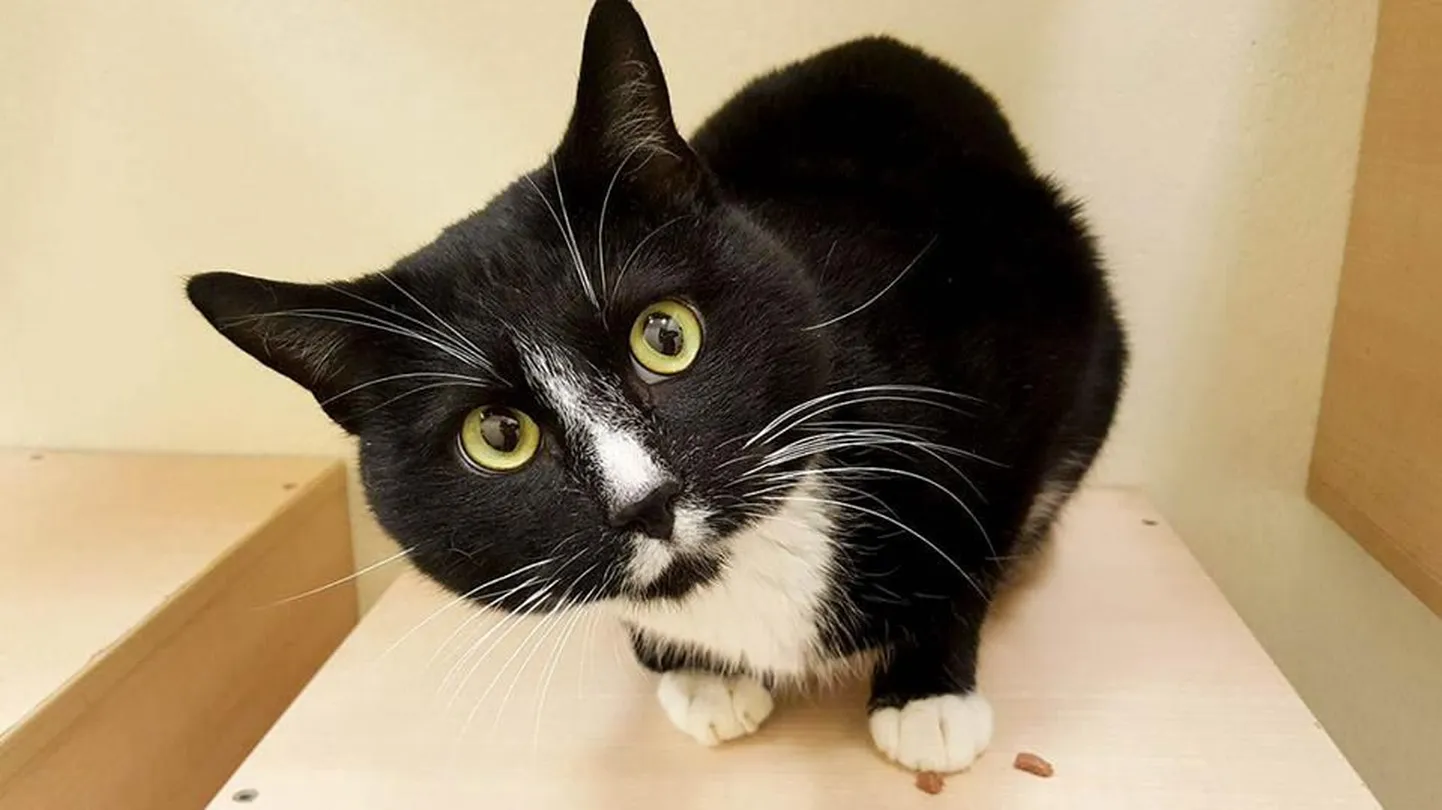 Tom.