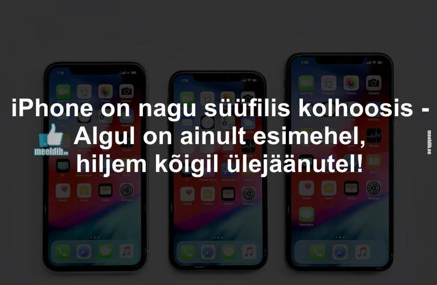 Artikli foto