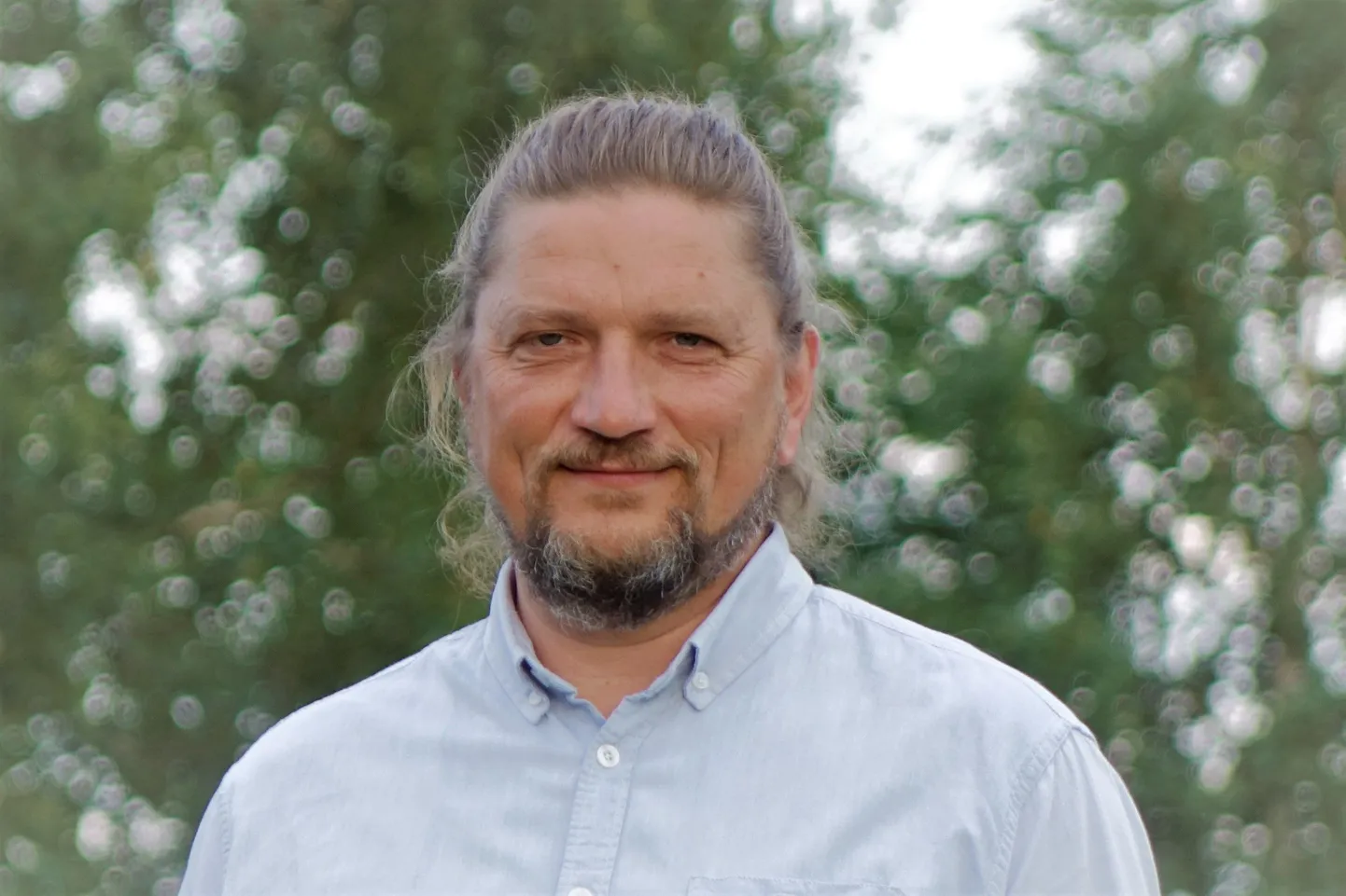 Rein Järvelill