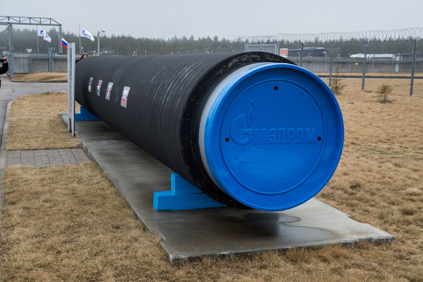 Nord Streami Portovaja kompressorijaam, millele Venemaa võimud ei taha Gazpromist sõltumatuid maagaasi tootjaid ligi lasta, et Venemaa ettevõtete omavaheline konkurents ei hakkaks hinda kärpima ja riigieelarve tulusid vähendama.