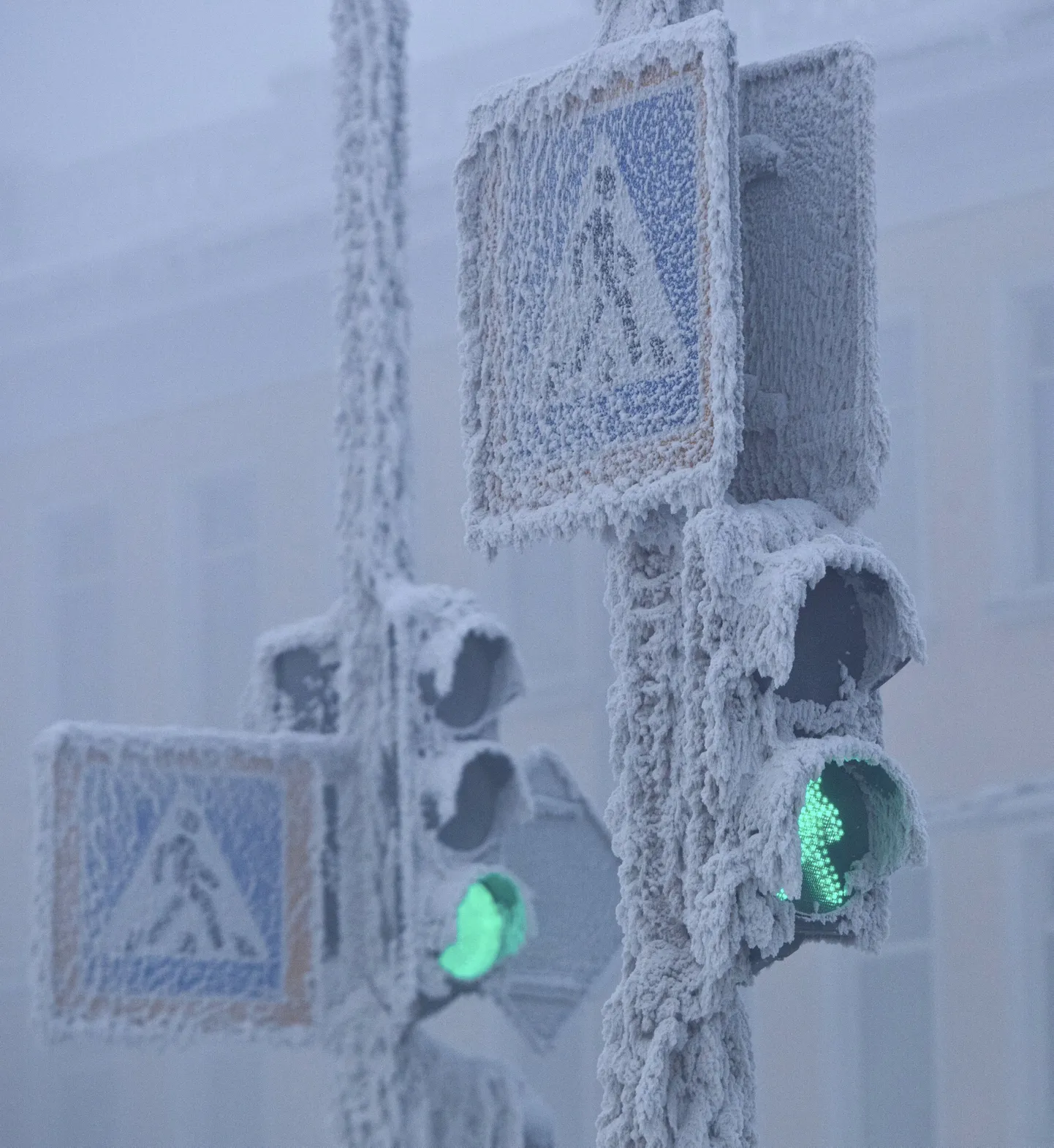 Фото статьи