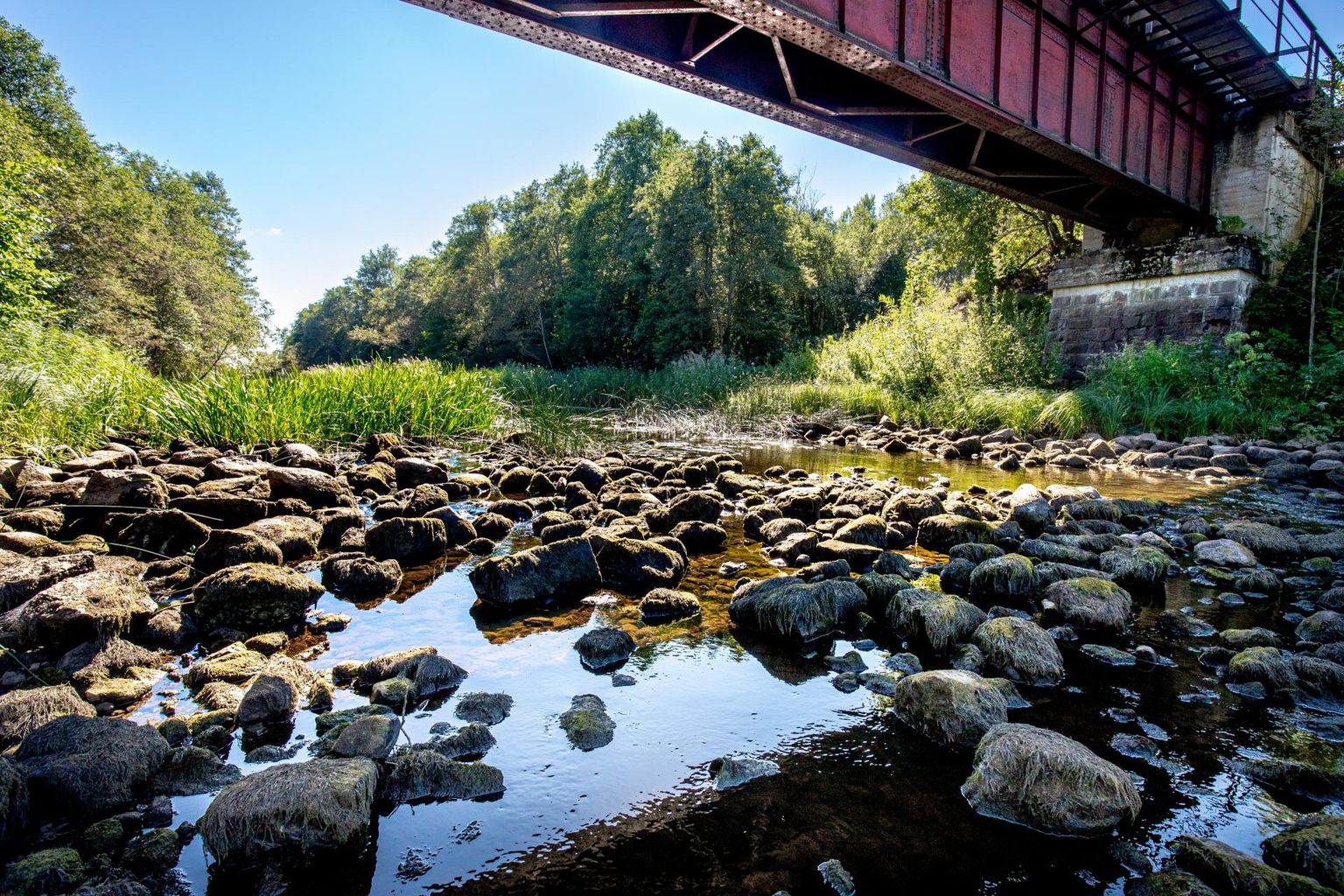 Reiu jõel asuva Sillaküla raudteesilla juures on veetase väga madal ja jõepõhjast ulatuvad välja kivid ning osa veetaimi on kuival. 