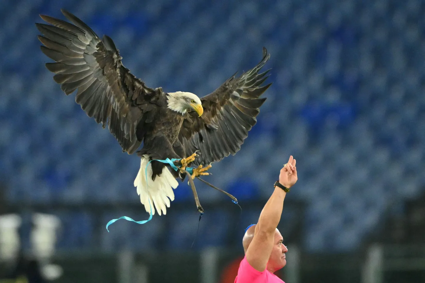 Huans Bernabe ar ērgli Olimpiju.