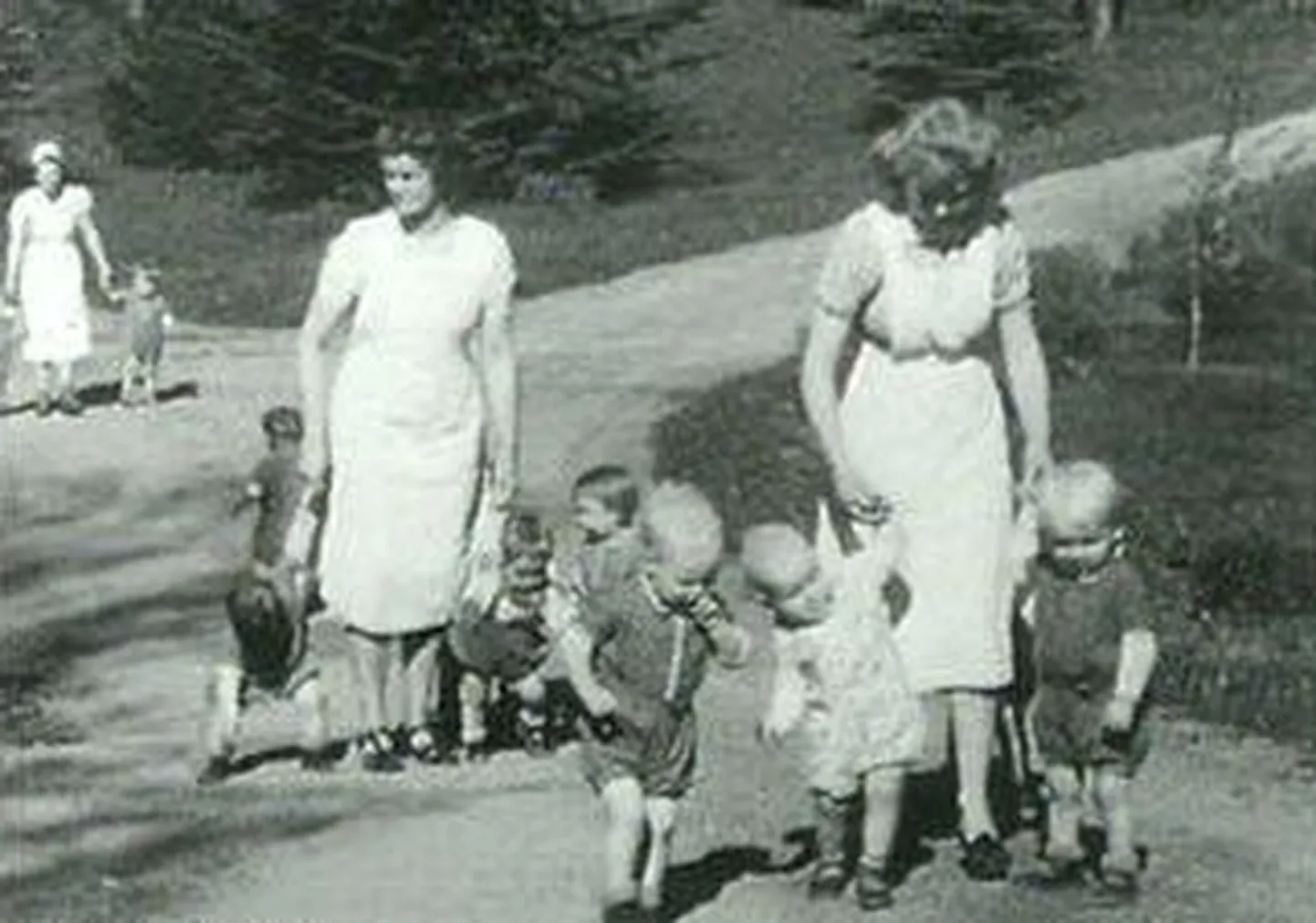 Lebensborn programmi tagajärjel sündinud lapsed