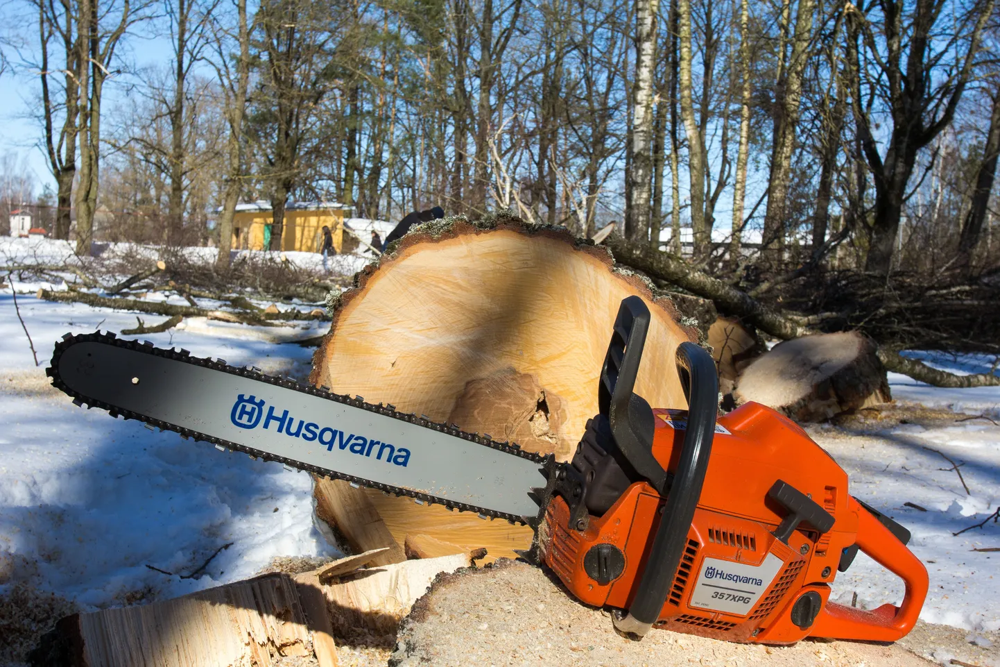 Мотопила Husqvarna.Иллюстративное фото.