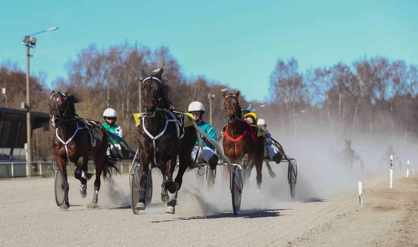 Traavivõistlusi peetakse Tallinna Hipodroomil siiani pidevalt, kuigi pealtvaatajaid on vaid loetud hulk.
