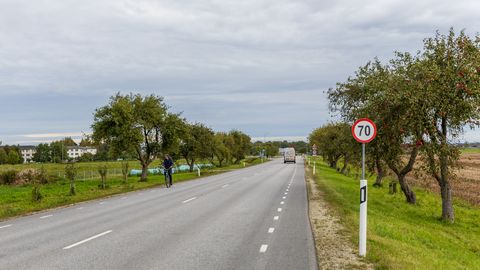 Kohalik külaselts päästis Tori õunapuude allee