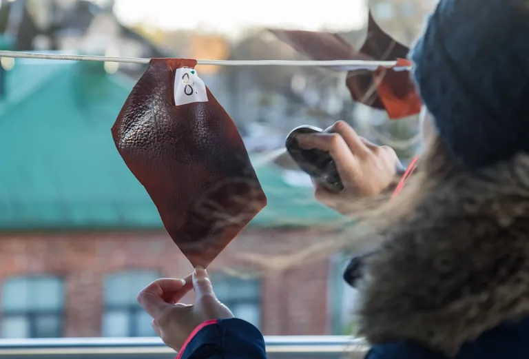 Niiskuskaitsevahendite pealekandmine