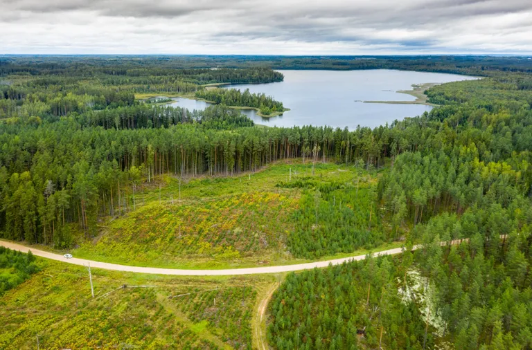 Valgamaa, 08.09.2020

Valga vallas Aheru järve läheduses Koobassaare küla lähistel kulgeb Karula rahvuspargi piir. Metsamassiivide vahel võib märgata ka lageraide alasid.