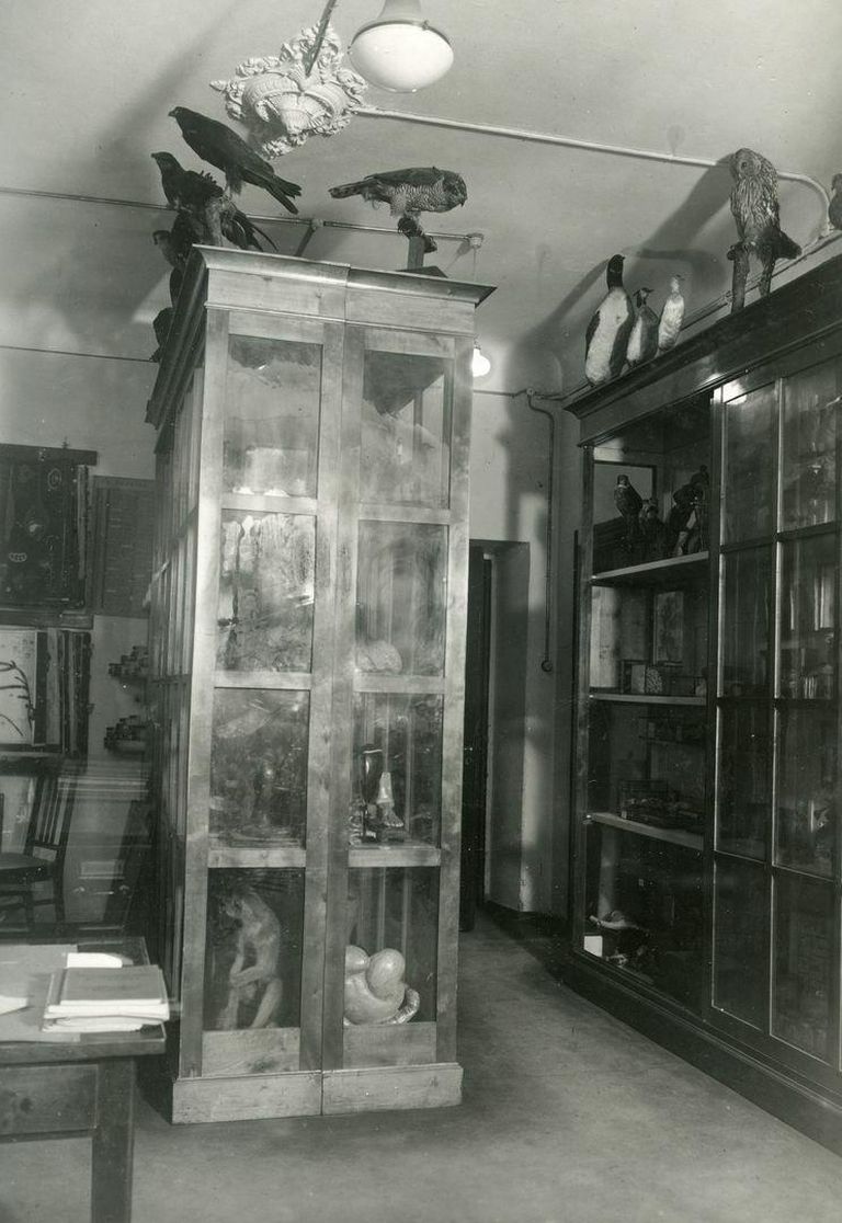 Topised ja muud õppevahendid muuseumi hoidlas. 1930ndad.