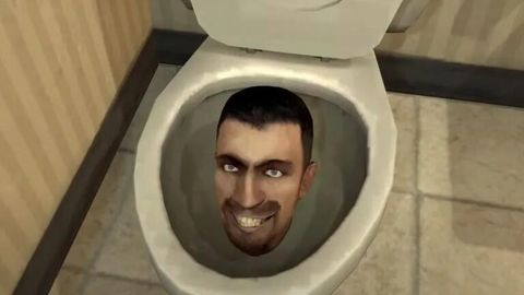 ЧТО ЭТО ЗНАЧИТ? ⟩ Слова «skibidi», «delulu» и «tradwife» добавили в Кембриджский словарь