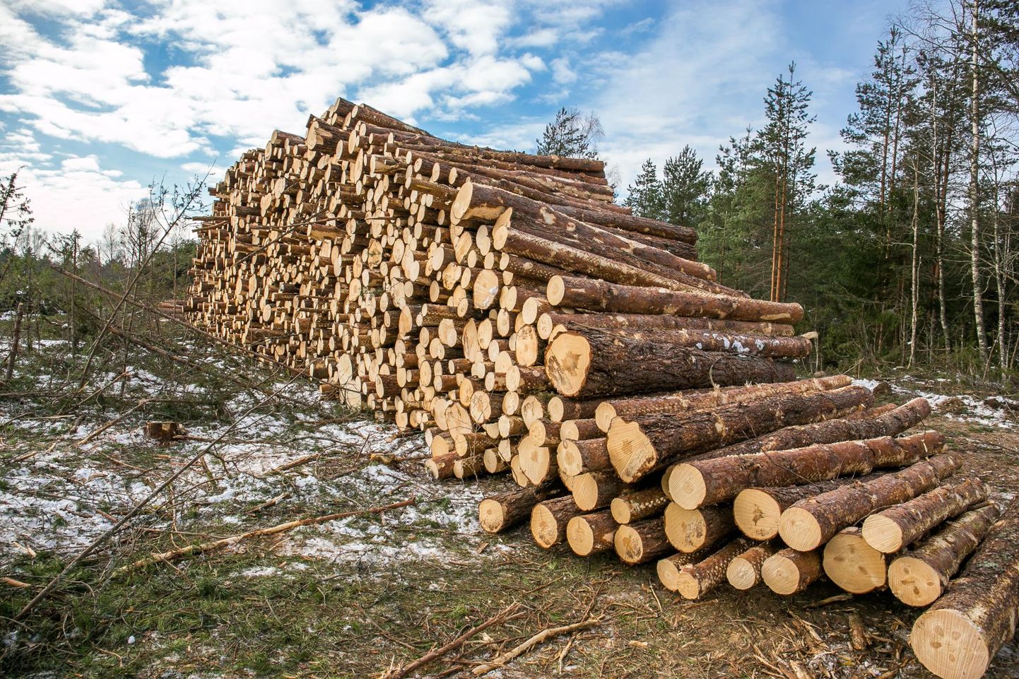 Keegi ei vaidle, et Eesti puit võiks rohkem sisse tuua. Iseasi, millist hinda oleme ise valmis suurema lisandväärtuse nimel maksma.