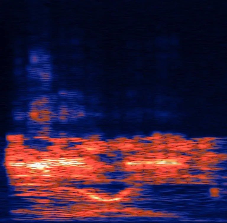 See spektrogramm näitab helisagedusi «Yanny» / «Laureli» klipis.