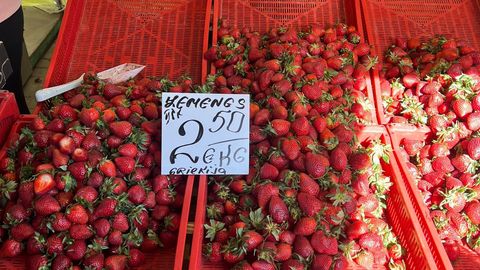 2.50 EUROT KILO ⟩ Tsirkuseärimees Lauri Viikna Eestis ja Lätis müüdavatest maasikatest: meil on hinnad kallid paanika tõttu