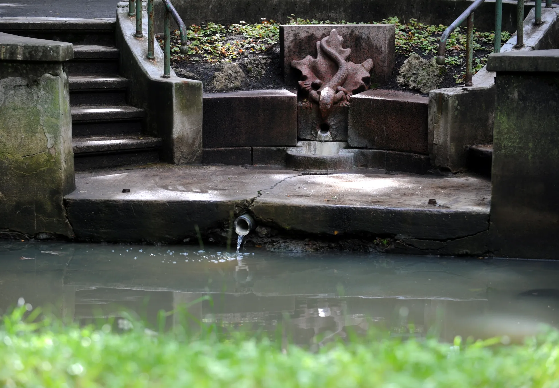 Sēravots Ķirzaciņa Ķemeru sanatorijas parkā.