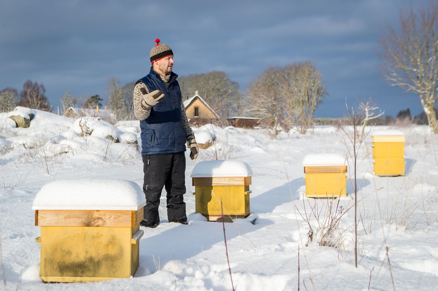 MÜTSIKUU: Talvel kannavad Aivar Raudmetsa Nässumaa mesilas mütse nii tarud kui ka mesinik.