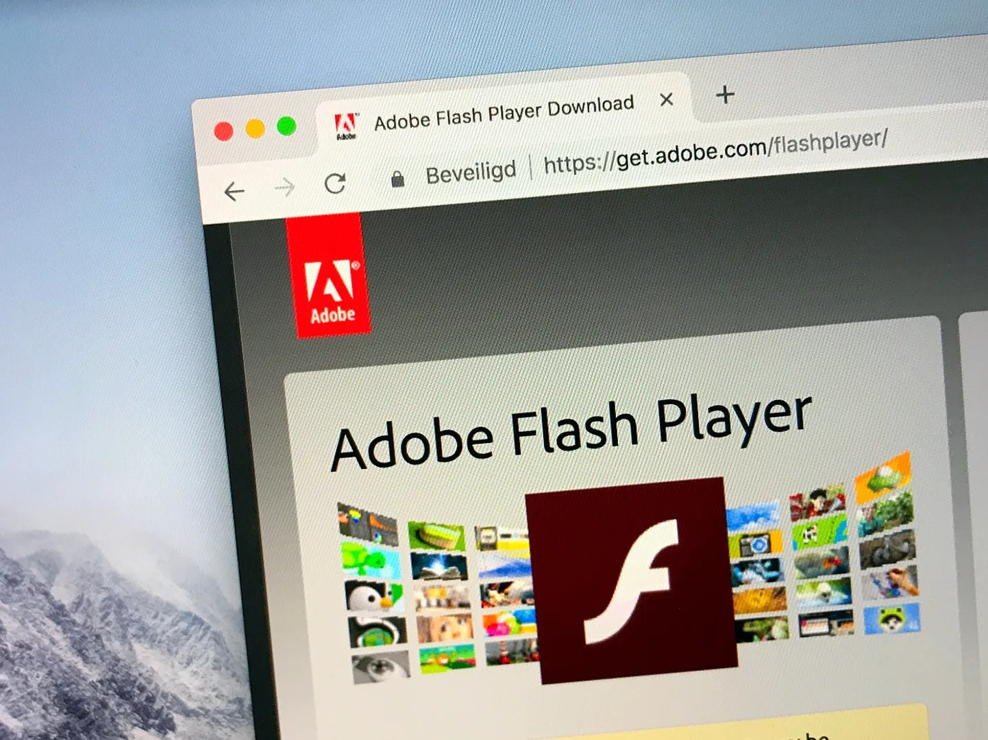 Adobe Flash mängija.