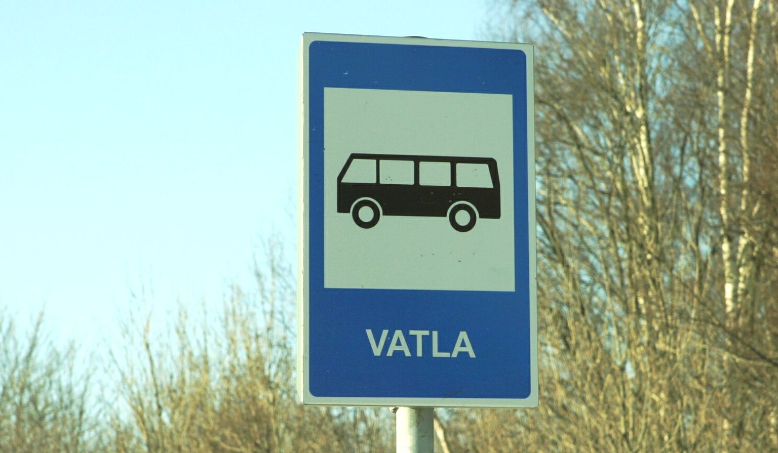 Üks kaheksast Pärnumaal enampakkumisel olevast krundist asub Vatla külas Lääneranna vallas.