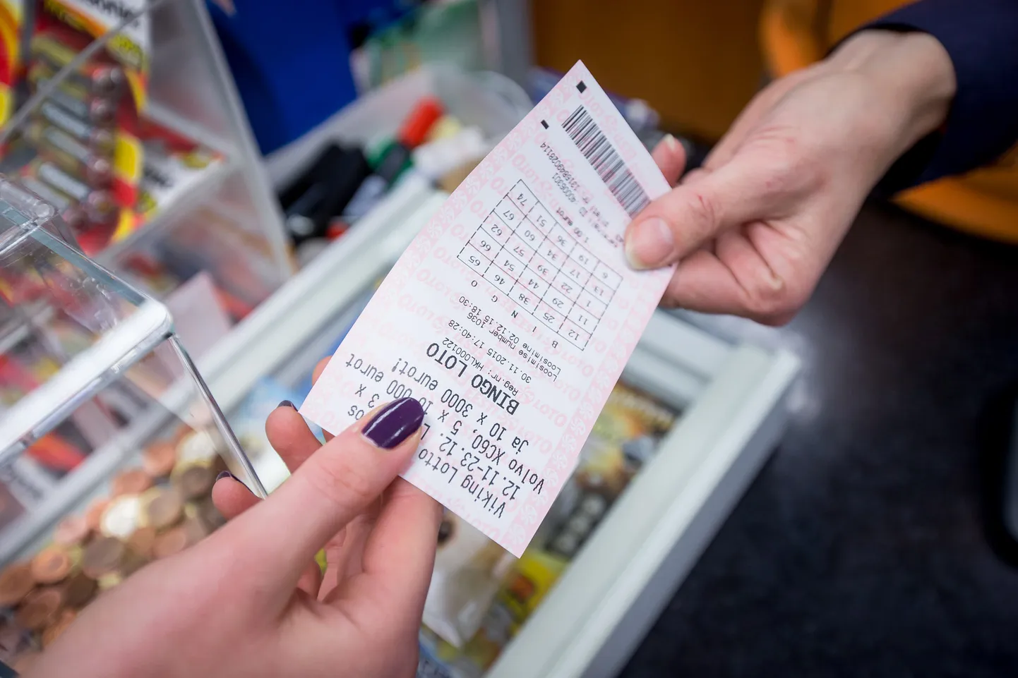 Bingo loto pilet.