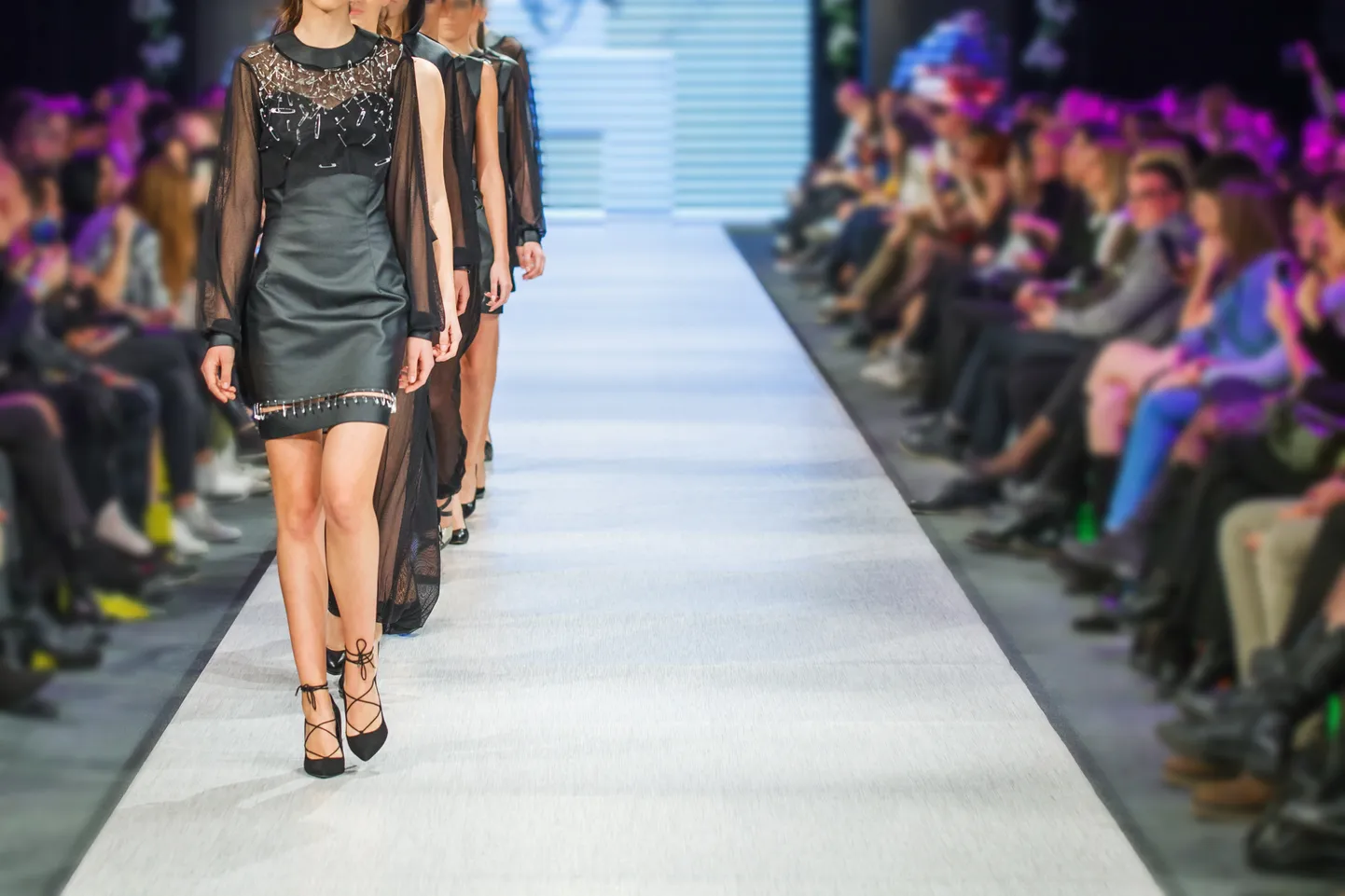 Modellid laval. Pilt on illustreeriv