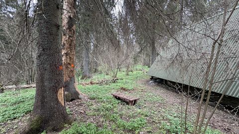 Suurel Munamäel läheb raieteks