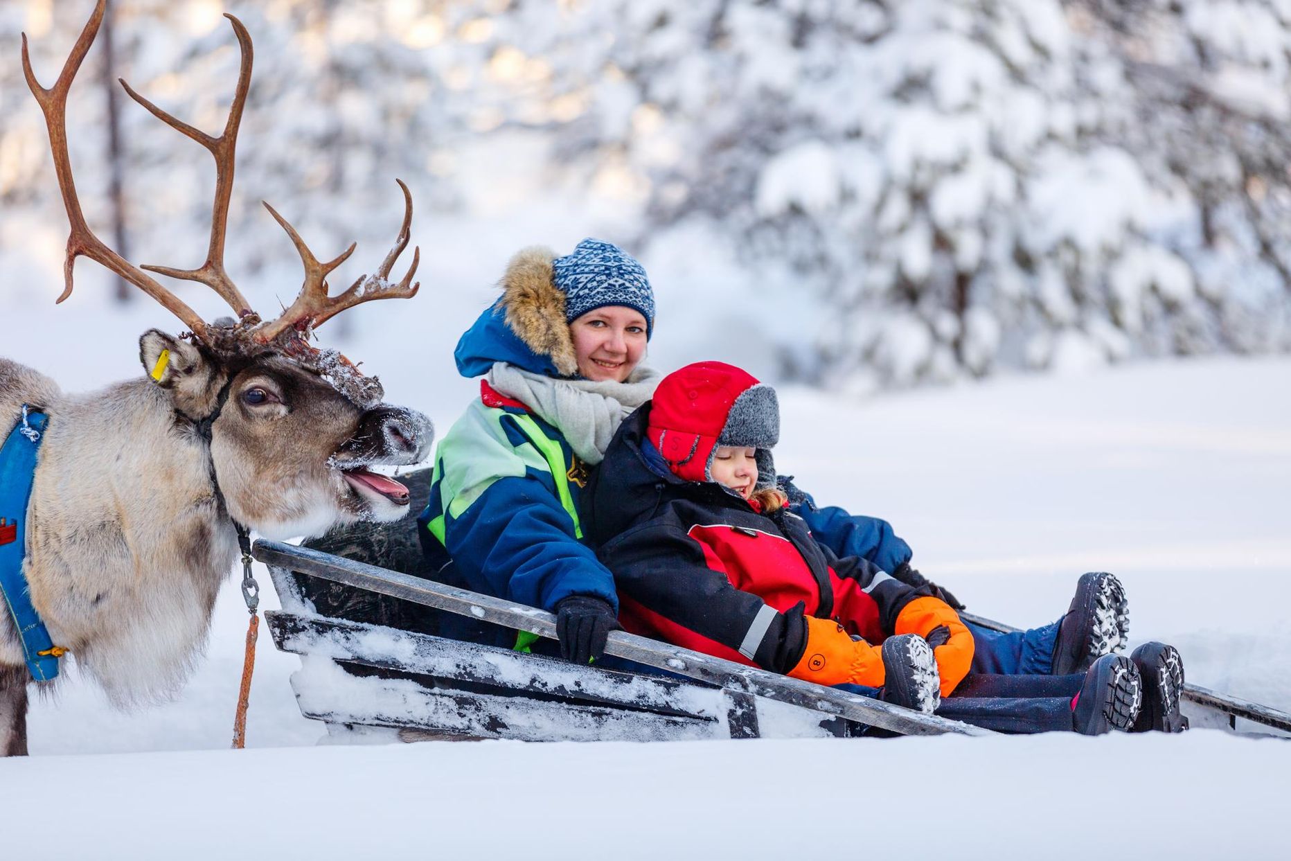 Soome ema ja laps talverõõme nautimas.