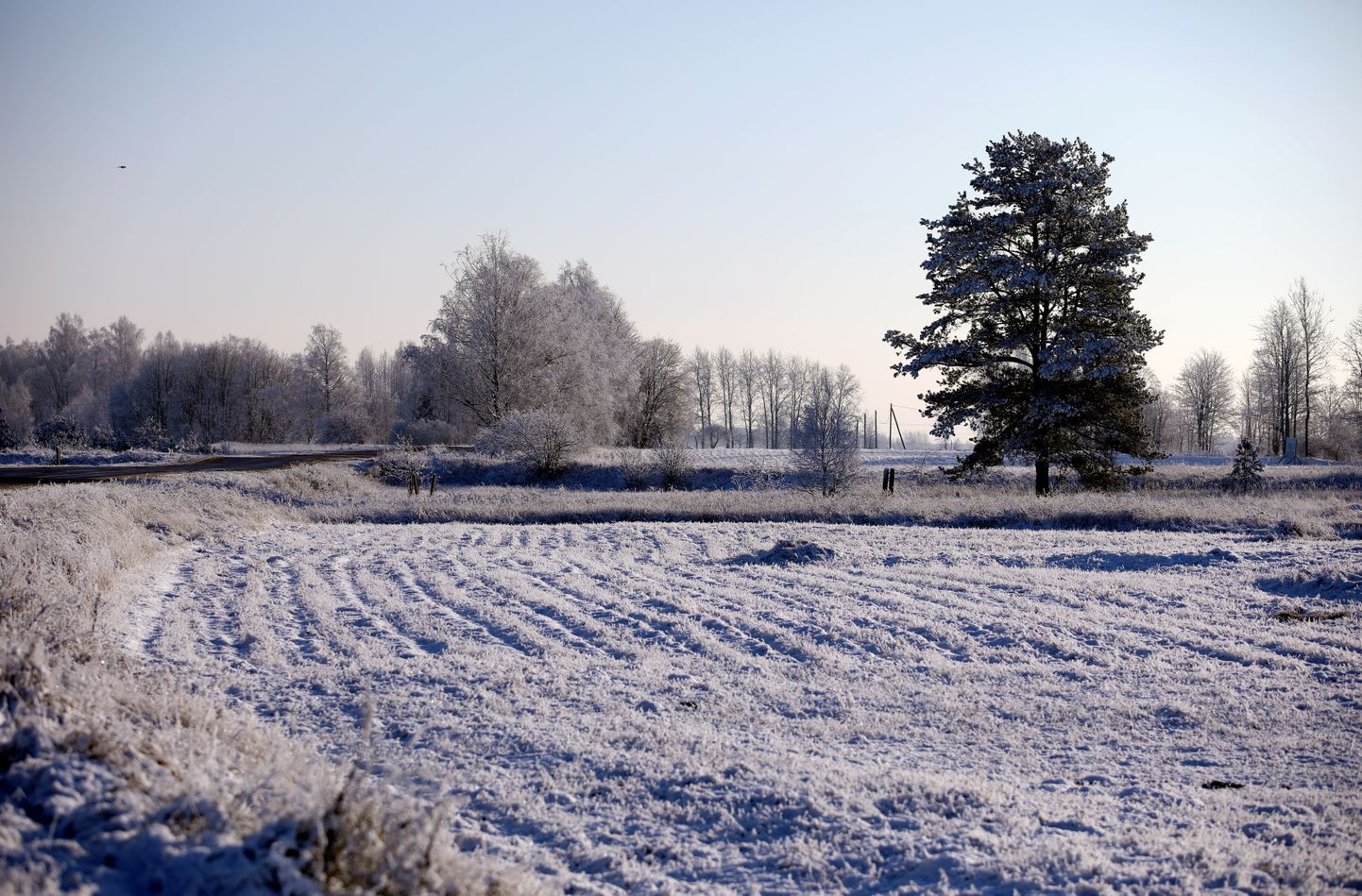 Латвия зимой