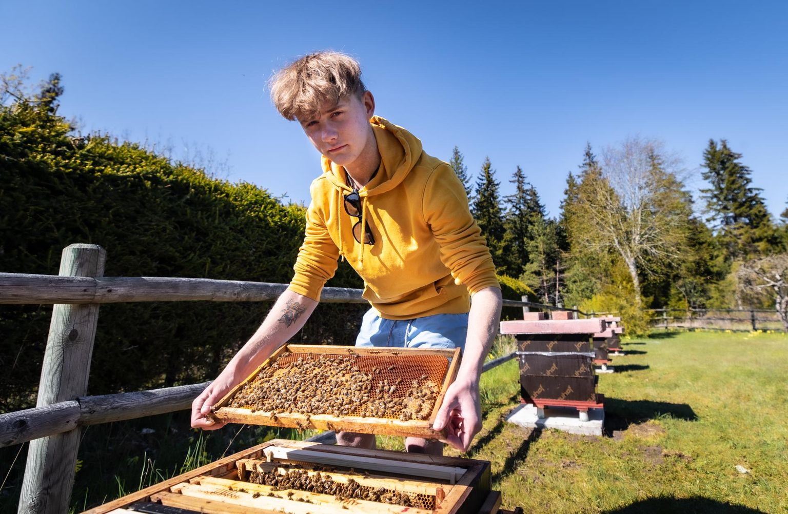 Noor mesinik, 16-aastane Oliver Nuut.