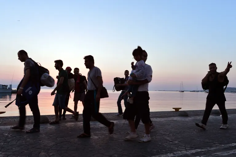 Artikli foto