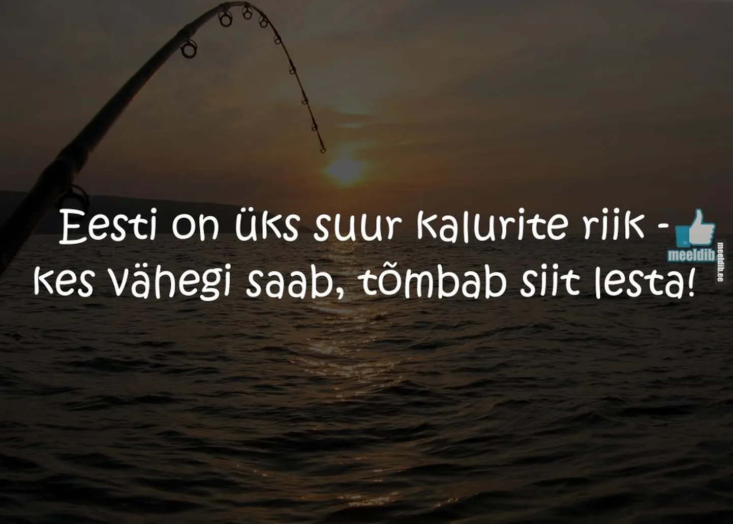 Artikli foto