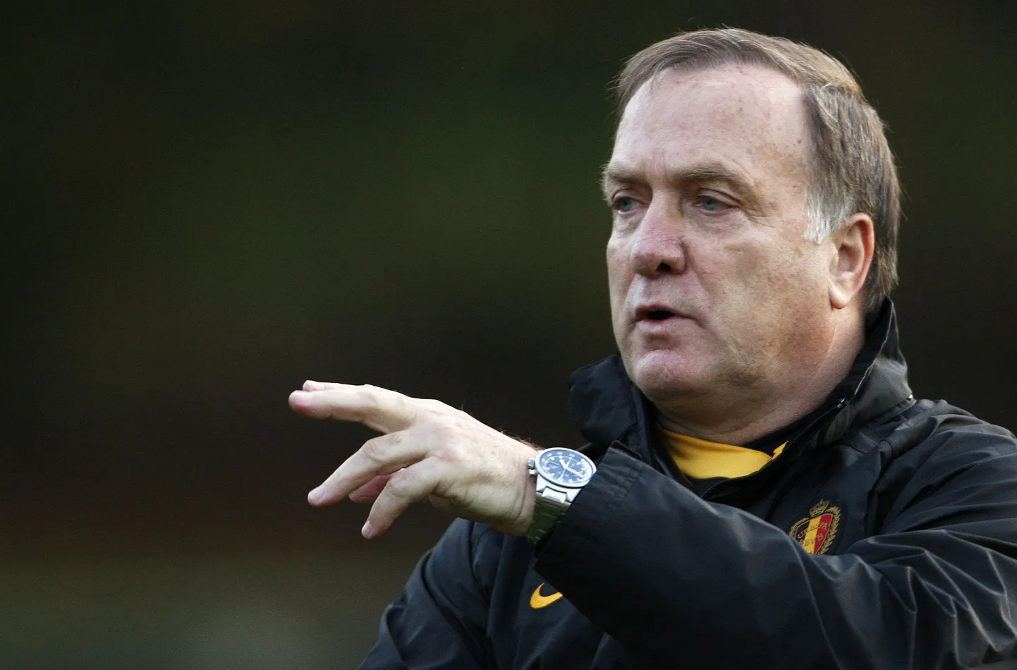 Dick Advocaat