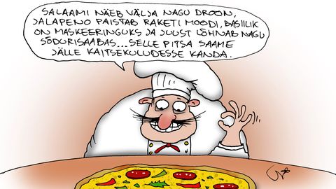 JUHTKIRI ⟩ Rehepaplus NATOs
