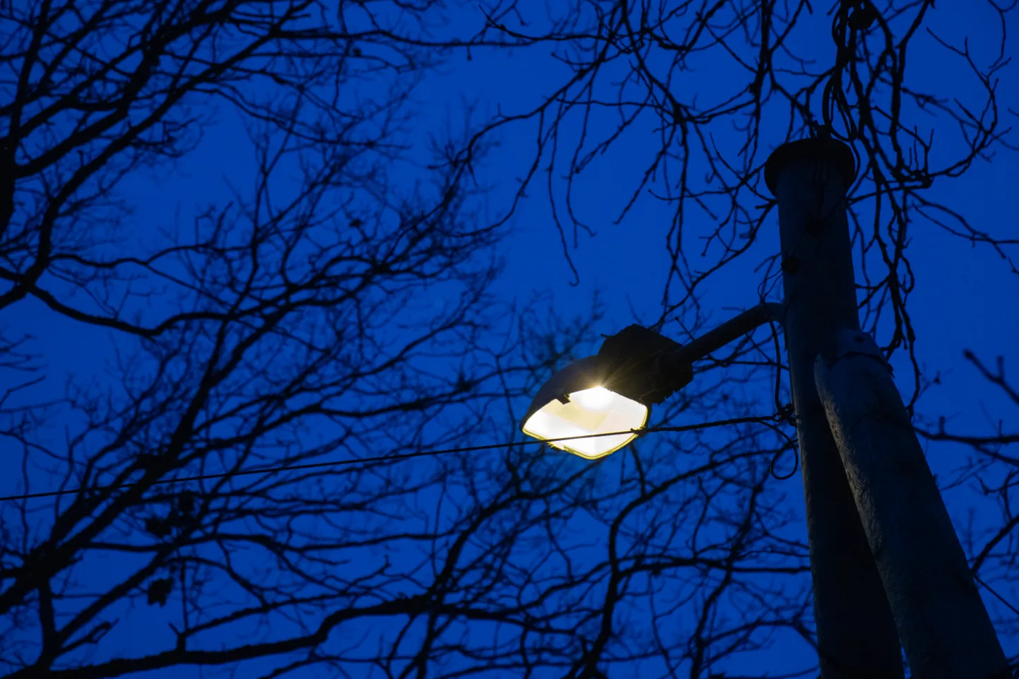 Kuriteokahtlustus puudutab Põltsamaa valla tänavavalgustuse riigihanget.