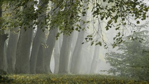 HEIKI RAUDLA ⟩ Viljandi lossimägede peidetud aare