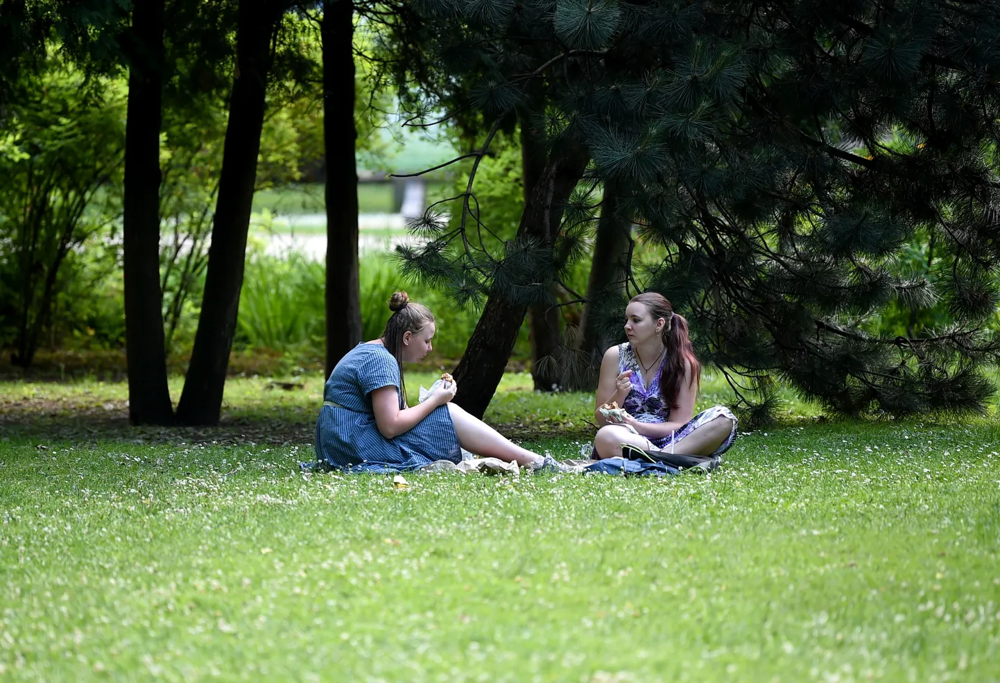 Люди в Верманском парке. Иллюстративное фото