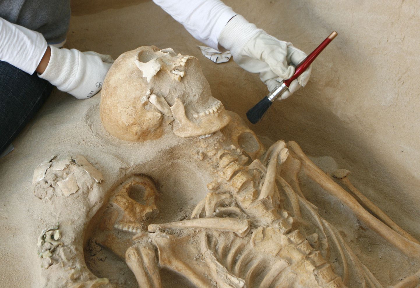 Arheoloogid avastasid inkade inimohvrid