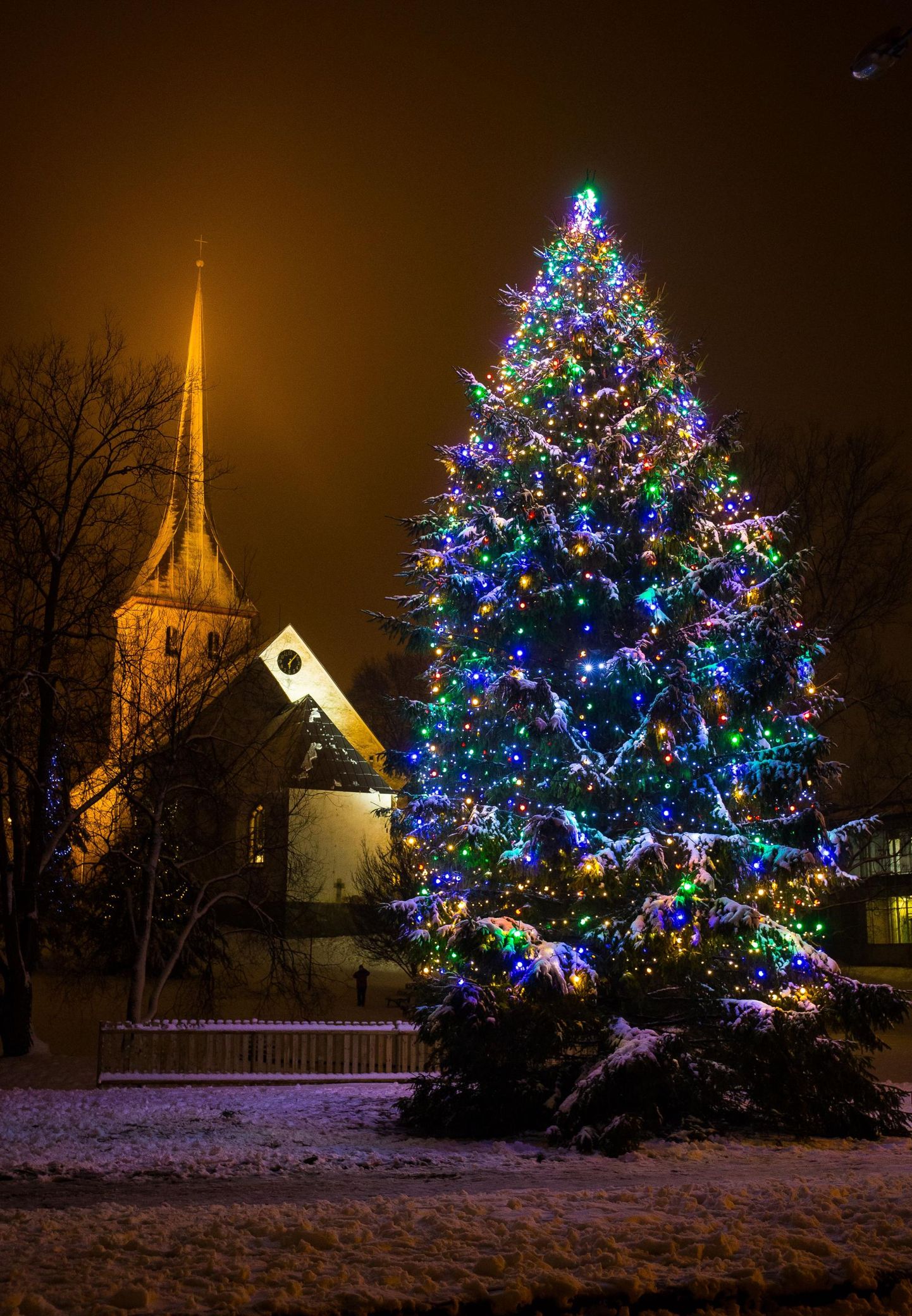 Jõululaupäeval Rakvere Kolmainu kirikus kell 17 algavast jumalateenistusest teeb otseülekande Eesti Televisoon.
