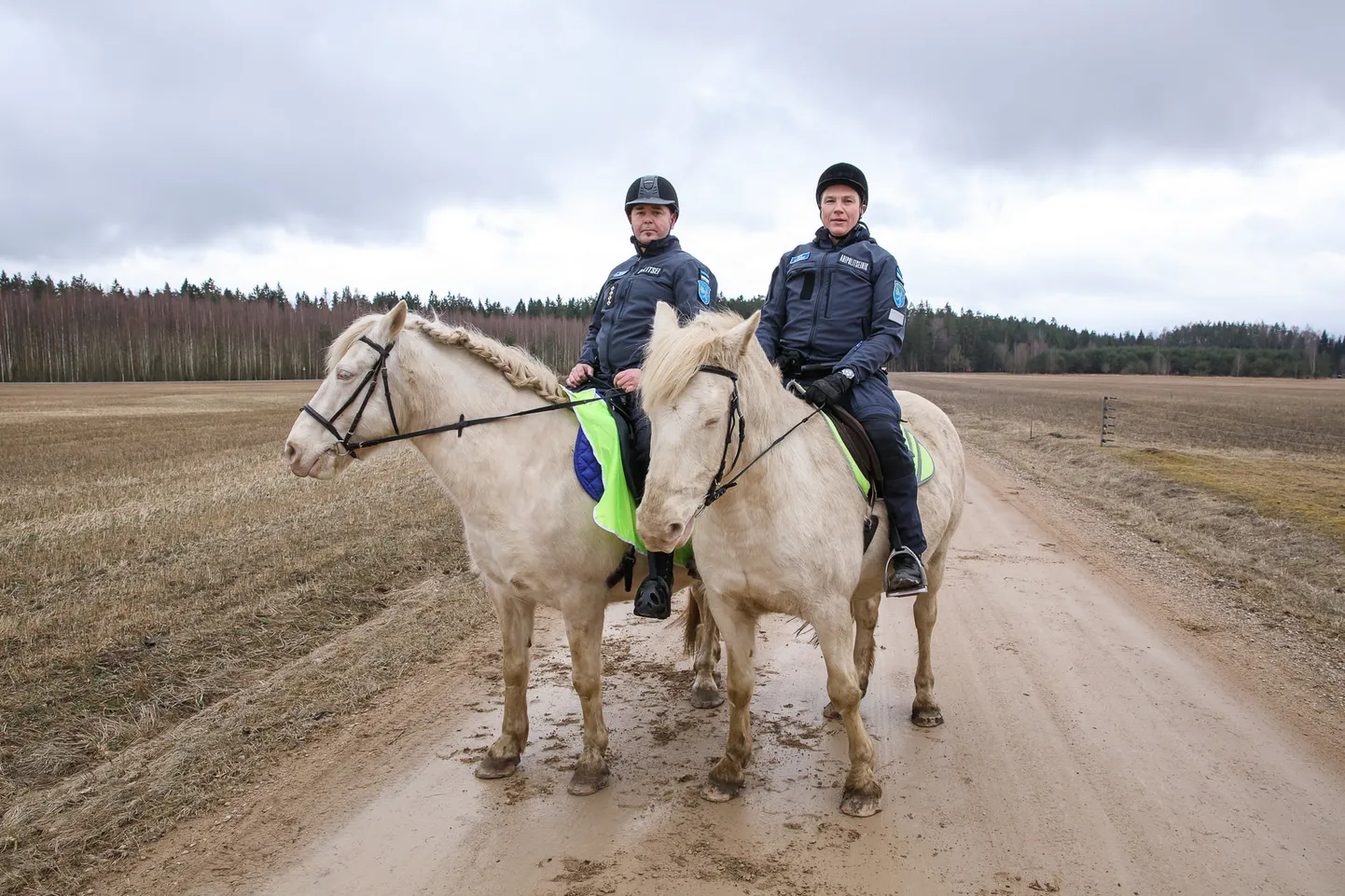 Politseinikud katsetasid uut sorti hobujõudu.