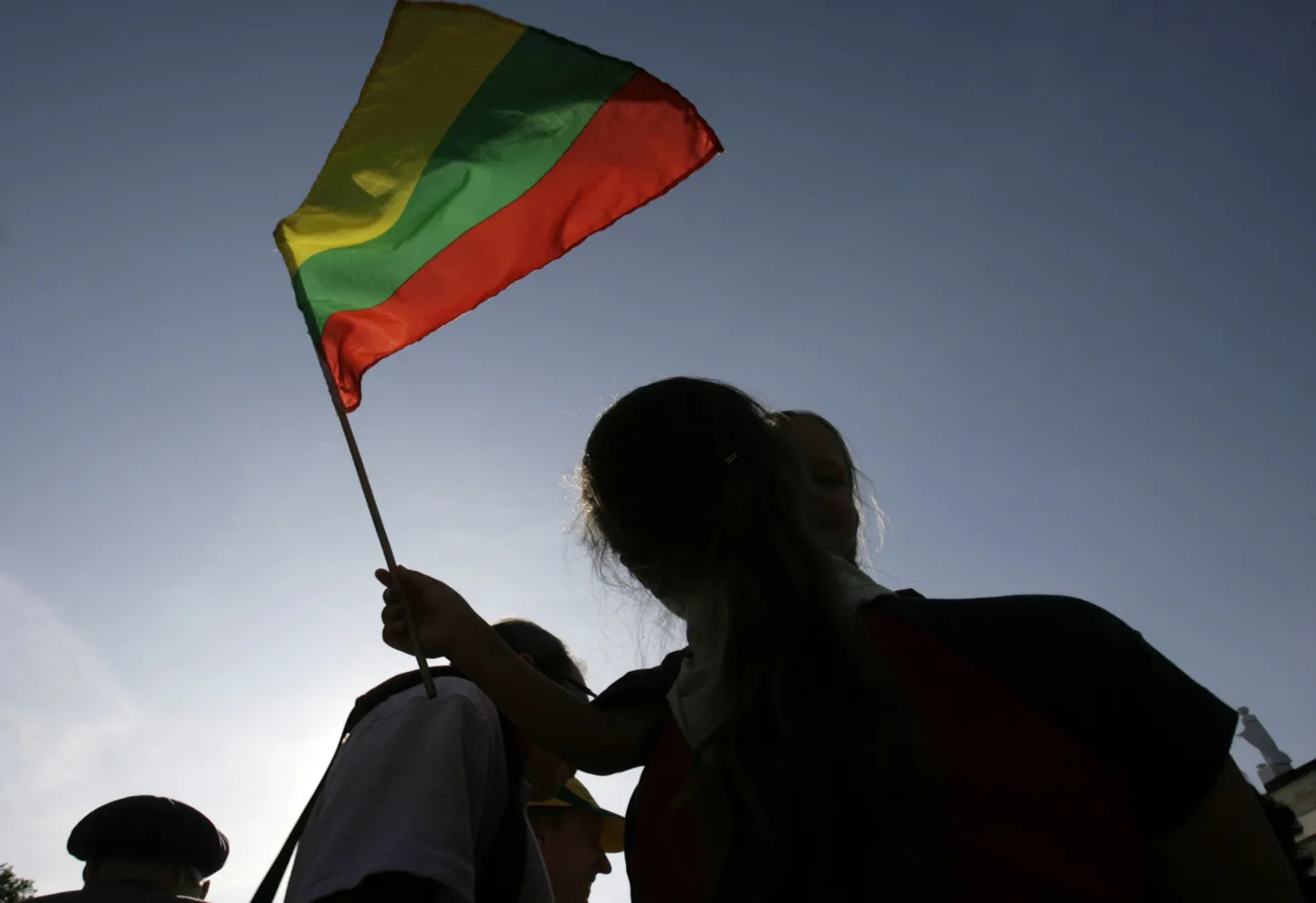 Leedu lippu lehvitav laps