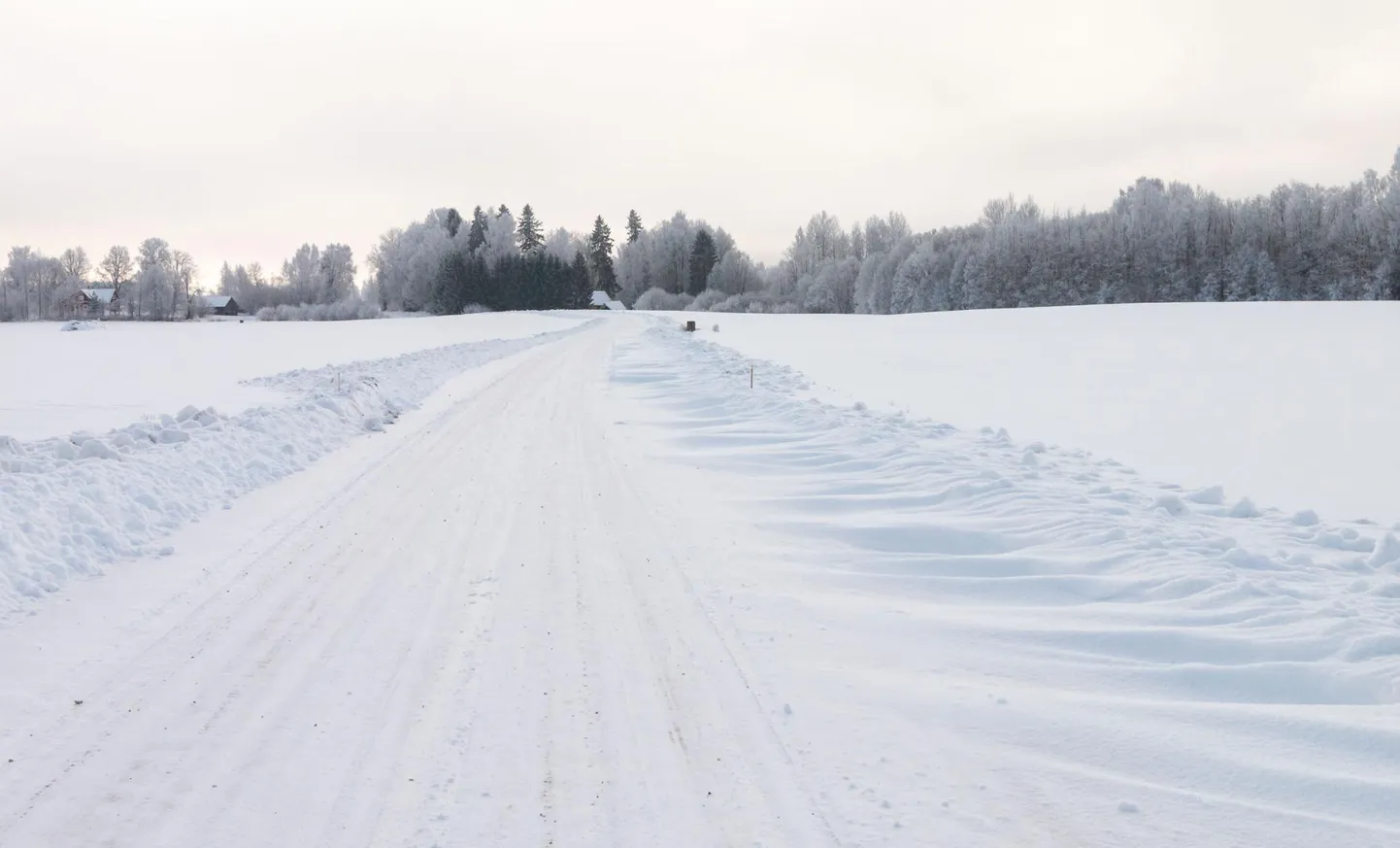 Tuisuvaalud kõrvalteel.