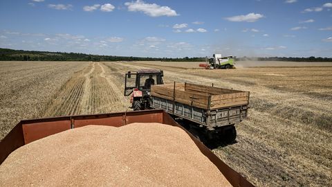 POSTIMEES UKRAINAS ⟩ Viljaagoonia ängistab nii Ukrainat kui isegi Venemaad. Eesti põllumehel üks silm nutab, teine naerab